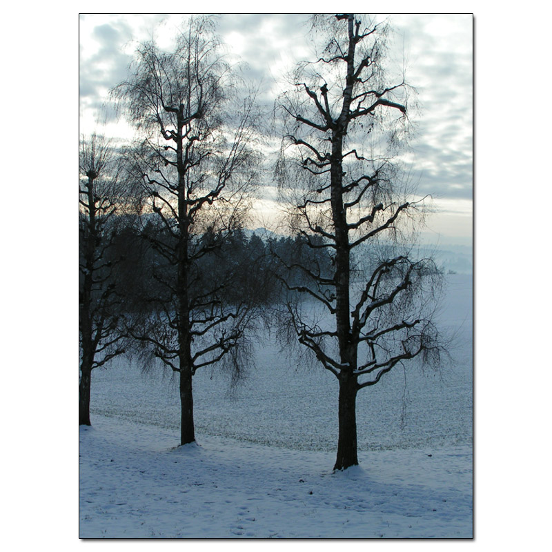 Fotokarte Stimmungen 03