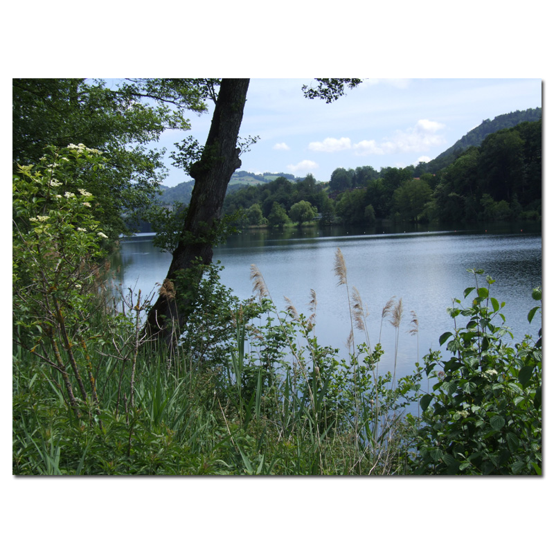 Fotokarte Stimmungen 25