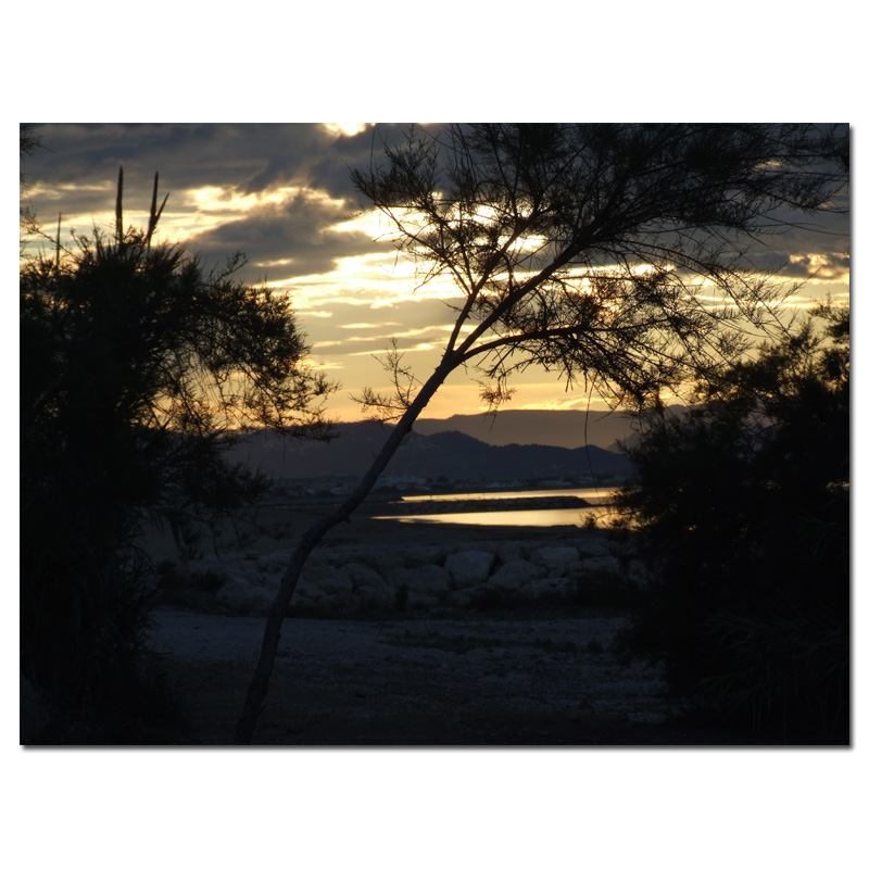 Fotokarte Stimmungen 26