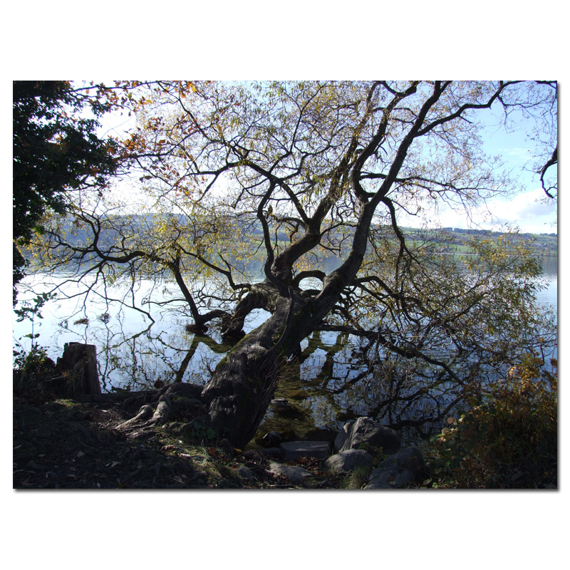 Fotokarte Stimmungen 29