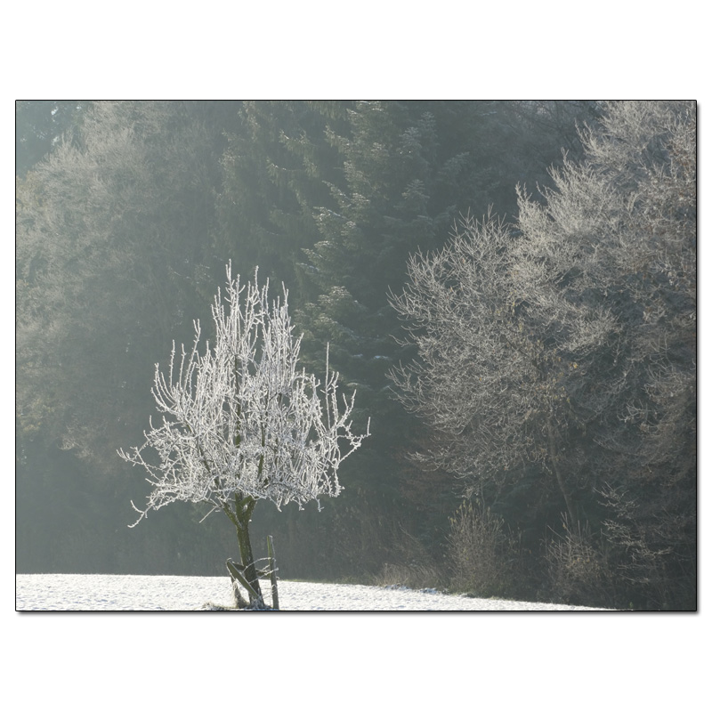 Fotokarte Stimmungen 34