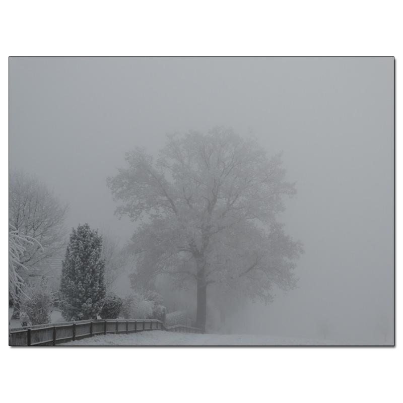 Fotokarte Stimmungen 36