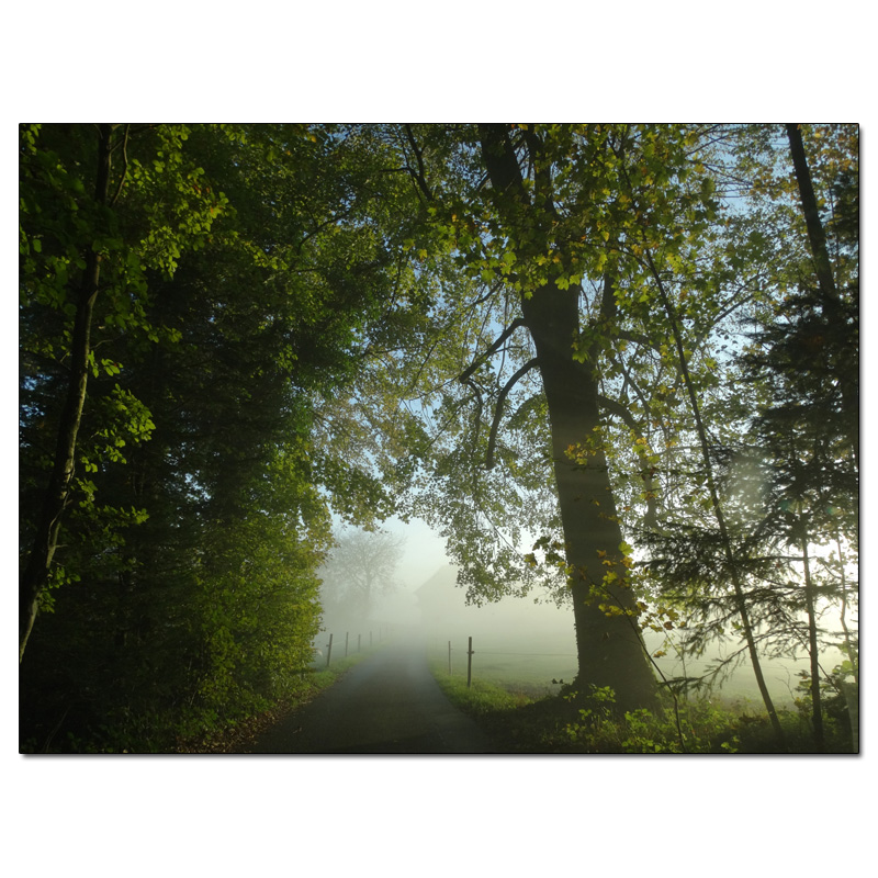 Fotokarte Stimmungen 57