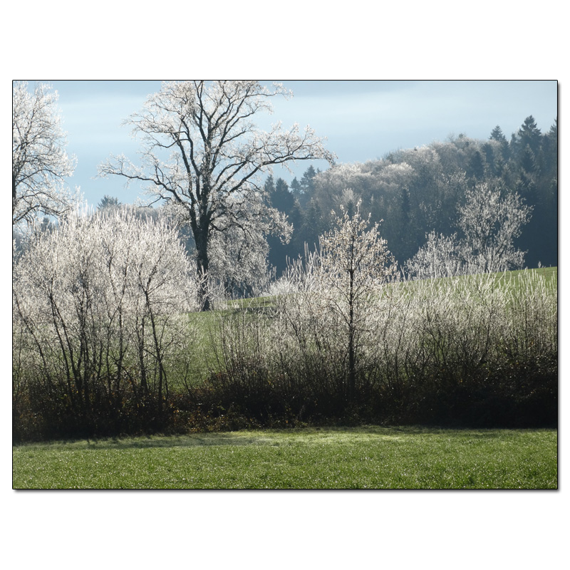 Fotokarte Stimmungen 60