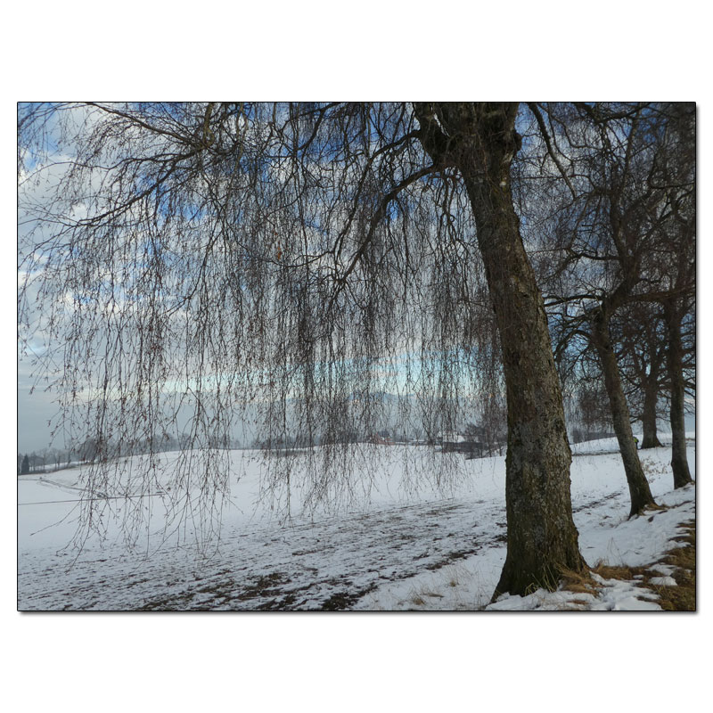 Fotokarte Stimmungen 67