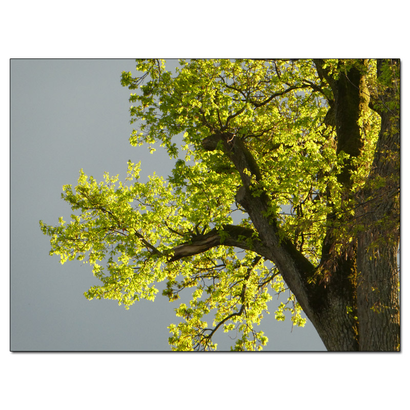 Fotokarte Stimmungen 68